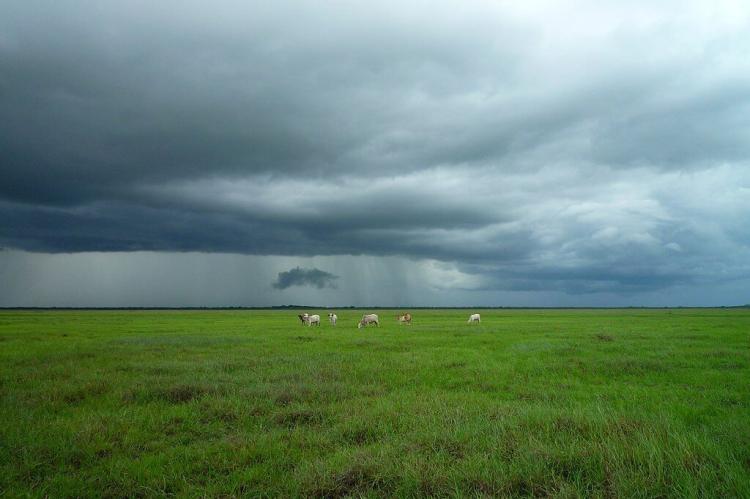 Llanos, Elorza, Venezuela