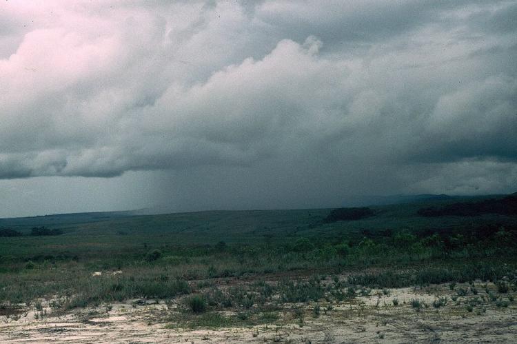 Rain storm, La Gran Sabana, Venezuela