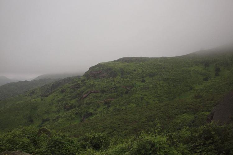 Lomas de Lachay National Reserve, Peru