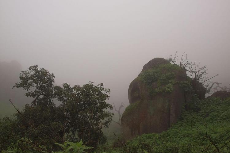 Lomas de Lachay National Reserve, Peru