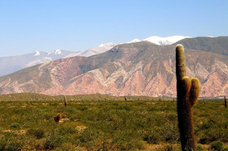 Los Cardones National Park, Argentina