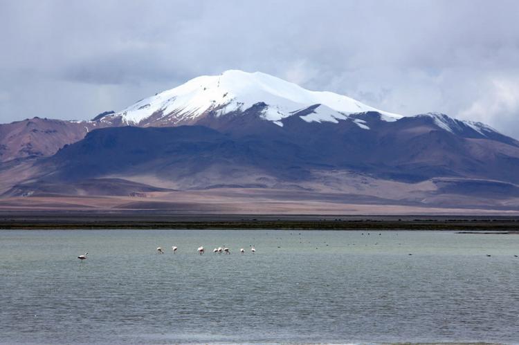 Los Flamencos National Reserve, Chile