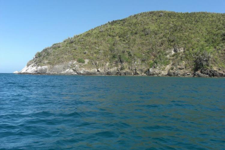 Scrub vegetation on island in Los Frailes Archipelago, Venezuela