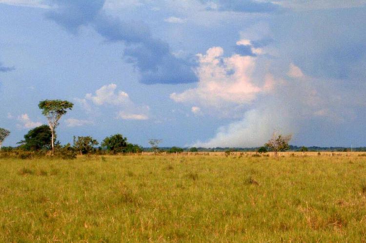 Los llanos, Puerto Gaitan, Colombia