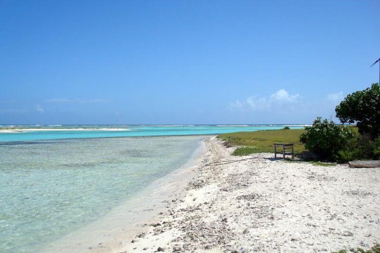 Beach in Los Roques, Venezuela