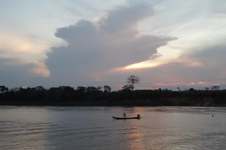 Madeira River rainforest panorama