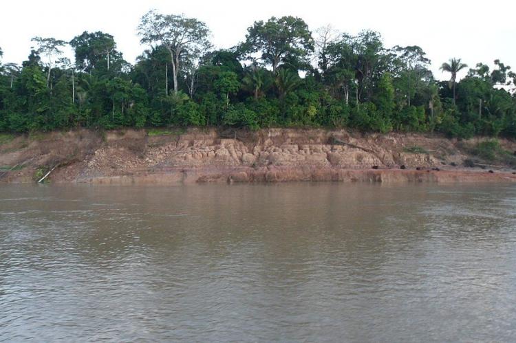 Madeira River rainforest banks