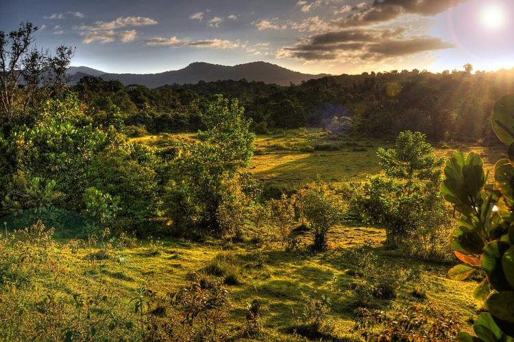 Landscape of Mahdia, Guyana