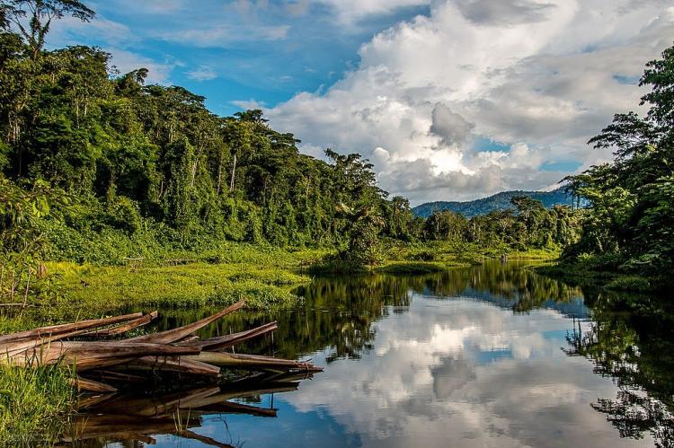 Manu National Park, Peru
