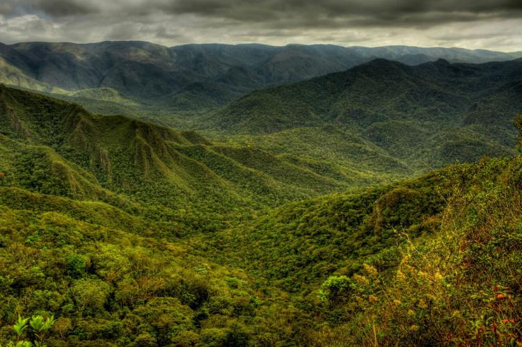 Mata Atlântica - Serra da Gandarela National Park - Atlantic forest (Brazil)