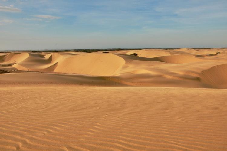 Dunes at Médanos de Coro National Park, Venezuela