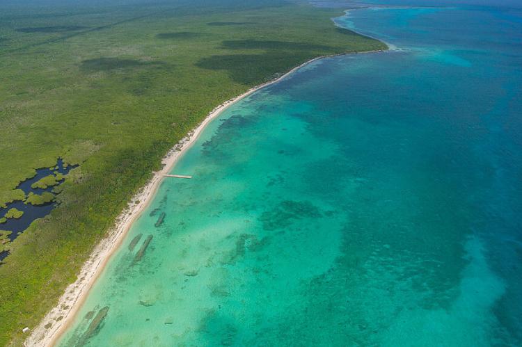 Reef off Palancar beach, Cozumel, Mexico