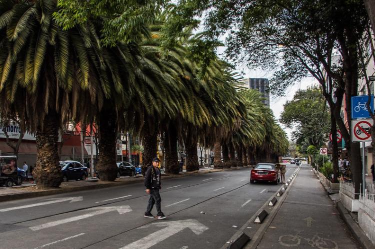 Typical Mexico City boulevard