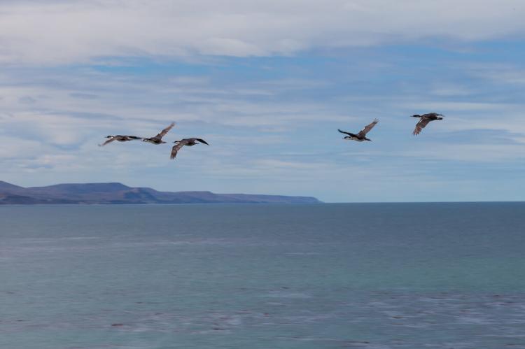 Coastal view of Monte León National Park, Patagonia, Argentina
