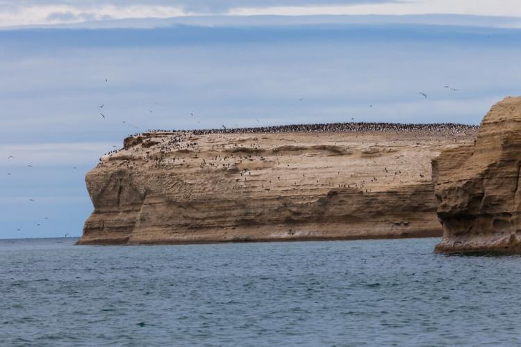 Coastal outcrop, Monte León National Park, Patagonia, Argentina