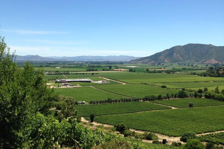 Montes Winery, Colchagua Valley, Chile