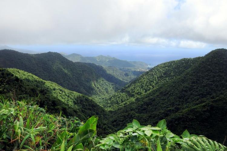 Morne Trois Pitons National Park, Dominica