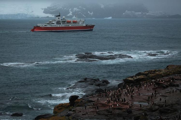 MS Expedition and Adélie Penguins, Shingle Cove, Coronation Island, South Orkney Islands