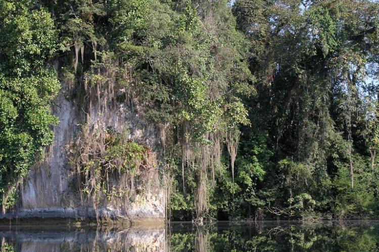 Rainforest water view, Nahá-Metzabok Reserve, Mexico
