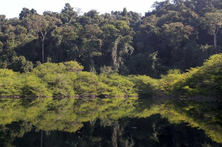Reserva Metzabok (Lacandonas), Chiapas, Mexico
