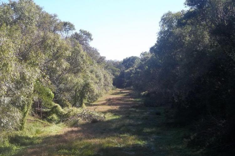 Negro river in Parque Nacional Chaco, Argentina
