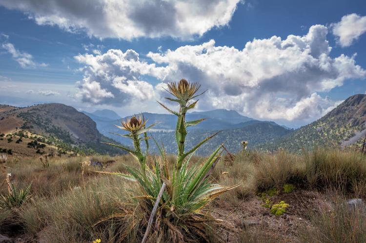 Nevado de Toluca, State of Mexico, between the valleys of Toluca and Tenango 