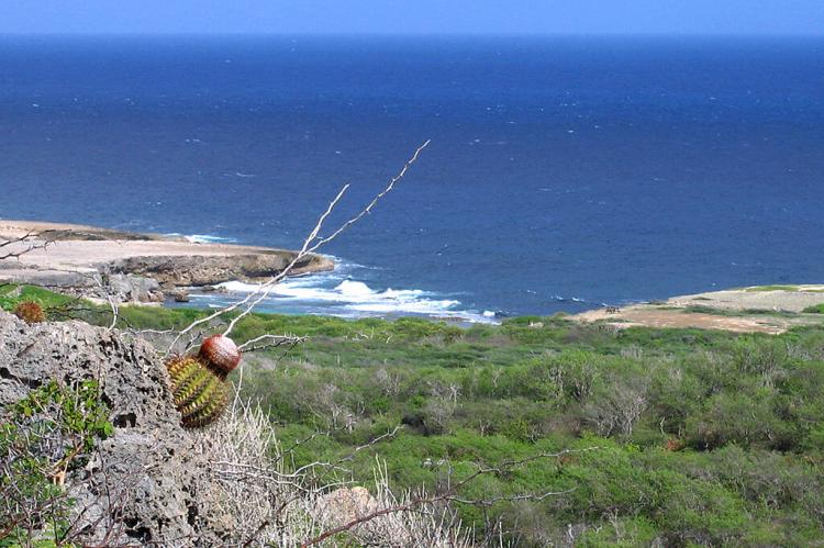Northern coast of Curaçao, Christoffel National Park