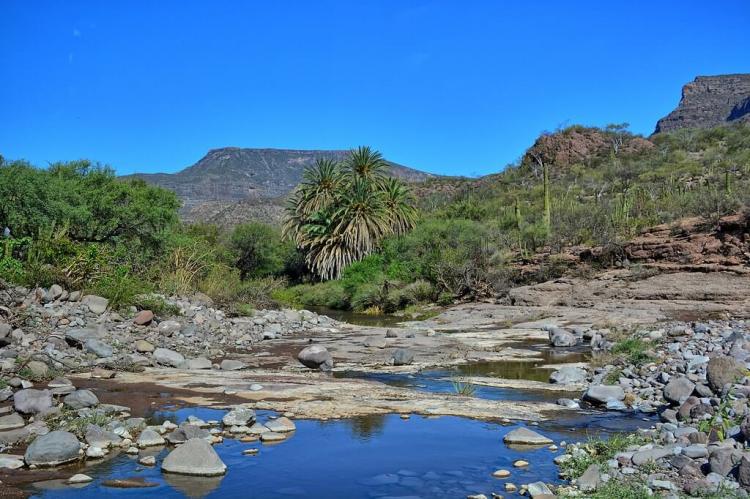 Oasis view of the Sierra de la Giganta mountains above Loreto, Mexico