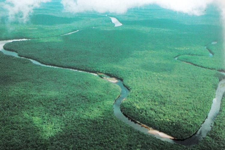 Aerial view of part of the Orinoco Delta