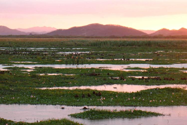 Palo Verde National Park, Guanacaste, Costa Rica