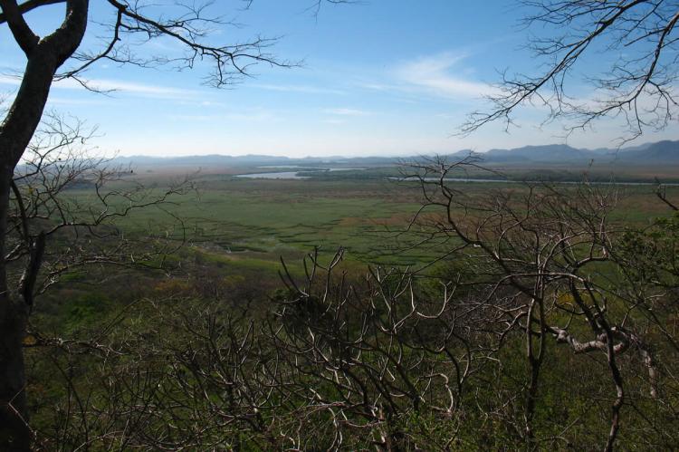 Palo Verde National Park, Guanacaste, Costa Rica