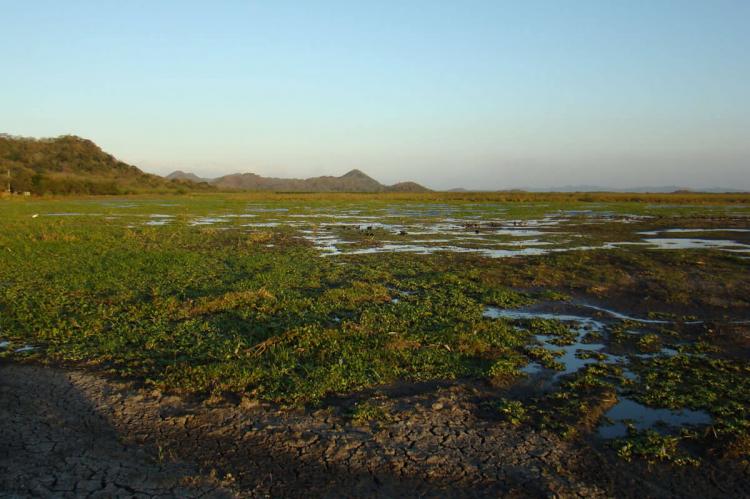 Palo Verde National Park, Guanacaste, Costa Rica