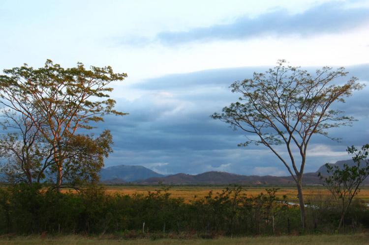 Palo Verde National Park, Guanacaste, Costa Rica