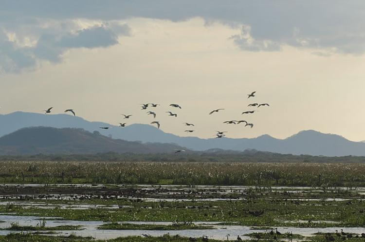Palo Verde National Park, Guanacaste, Costa Rica 