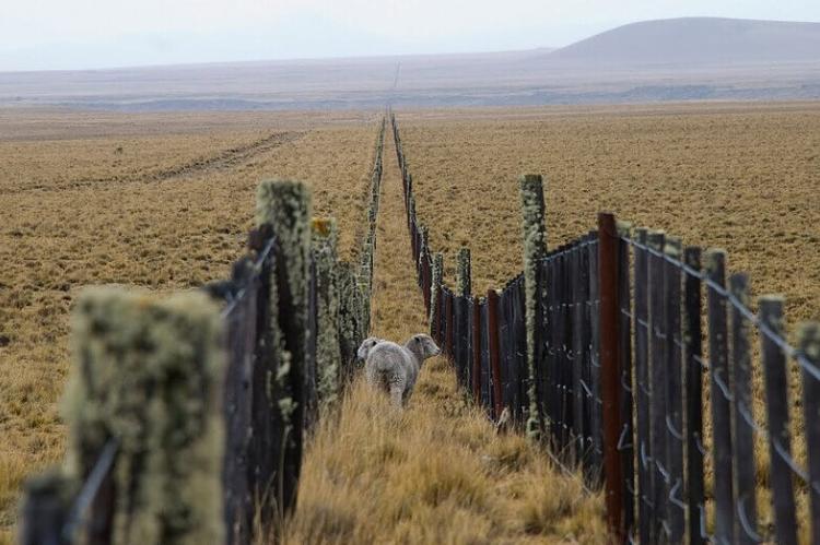 Pampas, along the border between Argentina and Chile
