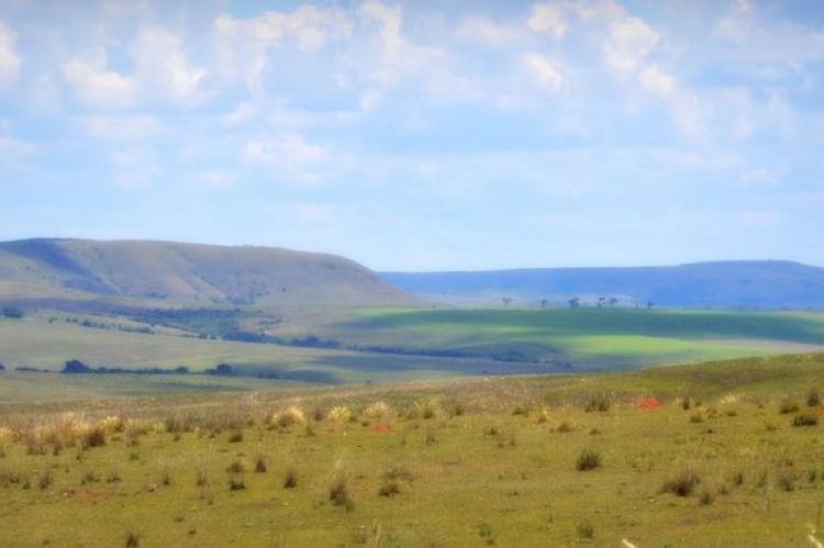 Panorama Pampas biome, Brazil