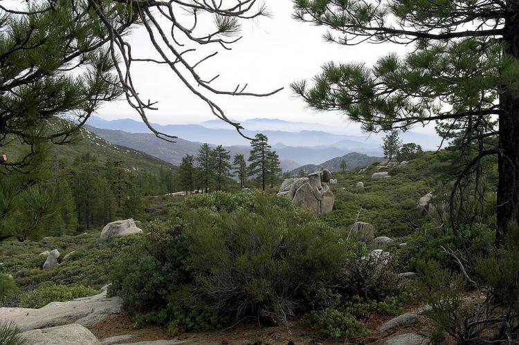 View towards Pacific Ocean from the Sierra San Pedro Martir National Park, Baja California, Mexico
