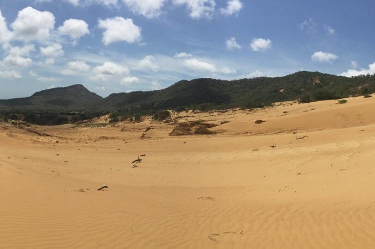 Guajira Desert, Serranía de Macuira, Colombia