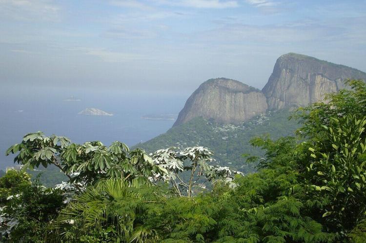 Panorama of Tijuca National Park, Rio de Janeiro, Brazil