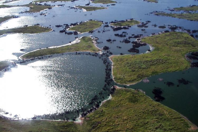 The Pantanal - a flooded grasslands and savannas ecoregion of south-central South America