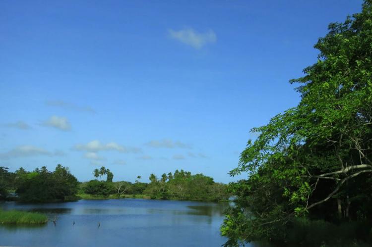 Pantanos de Centla, Mexico