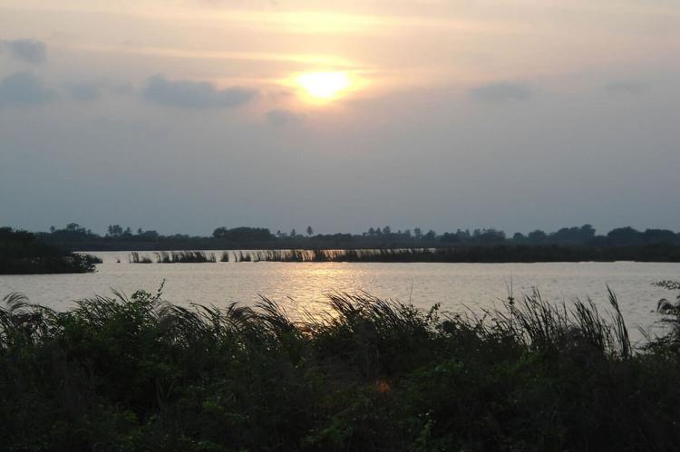 Pantanos de Centla, Mexico