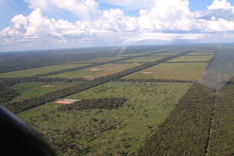 Northern Paraguay Chaco aerial