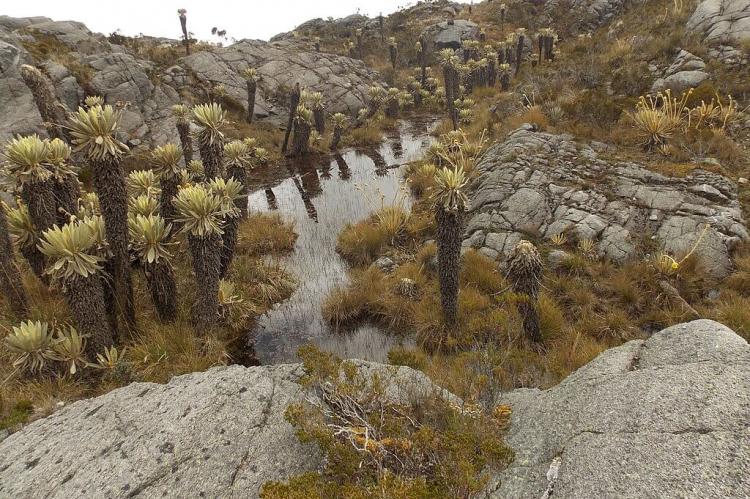 Páramo, Boyacá, Colombia