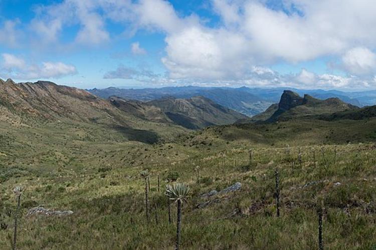 Páramo ecosystem, Chingaza National Park, Colombia