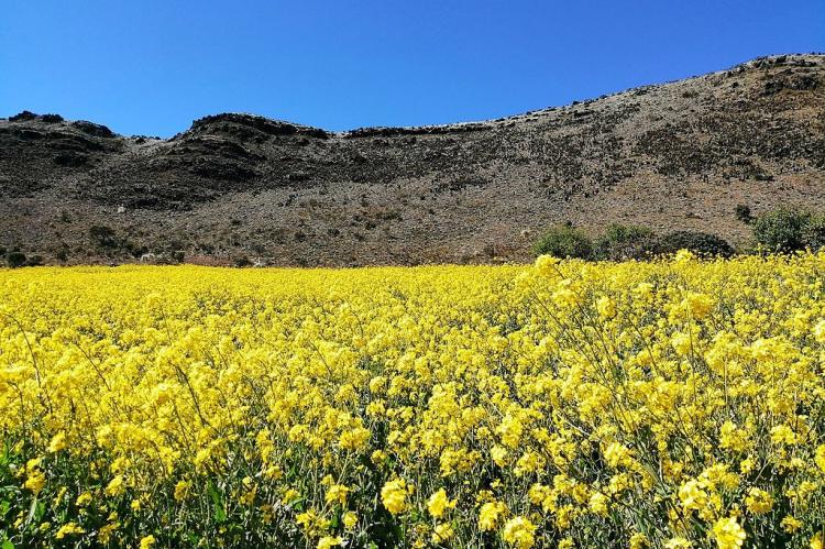 Páramo, Cundinamarca, Colombia