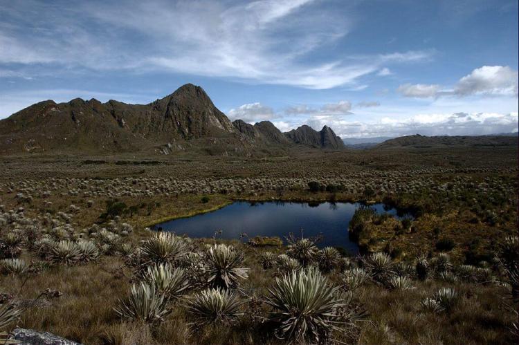 Páramo de Sumapaz, Colombia