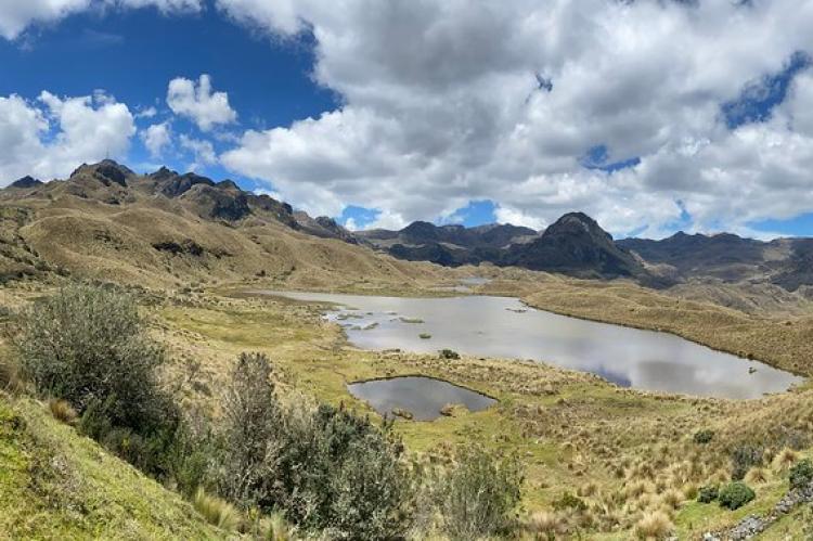 Páramo landscape, El Cajas National Park at 3,940 m (12,926 ft) asl, Cuenca, Ecuador