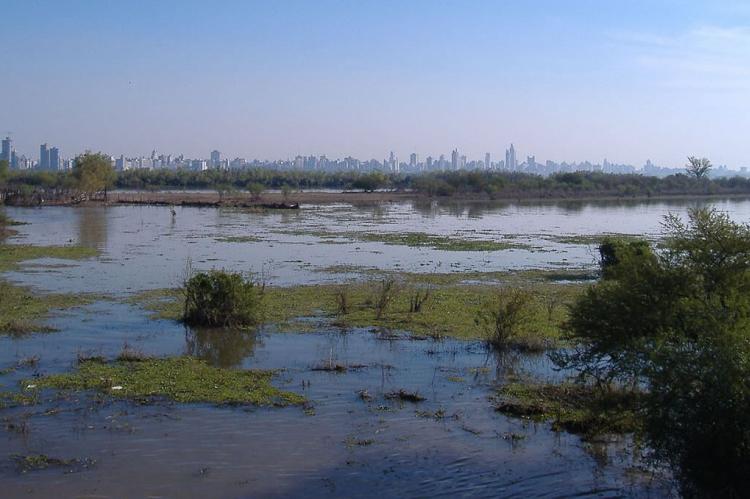 Semi-flooded islands in the Paraná Delta near Rosario, Argentina