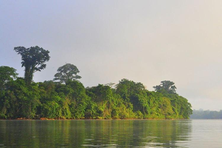 Maroni River, between Maripasoula and Talwuen in Guiana Amazonian Park, French Guiana 